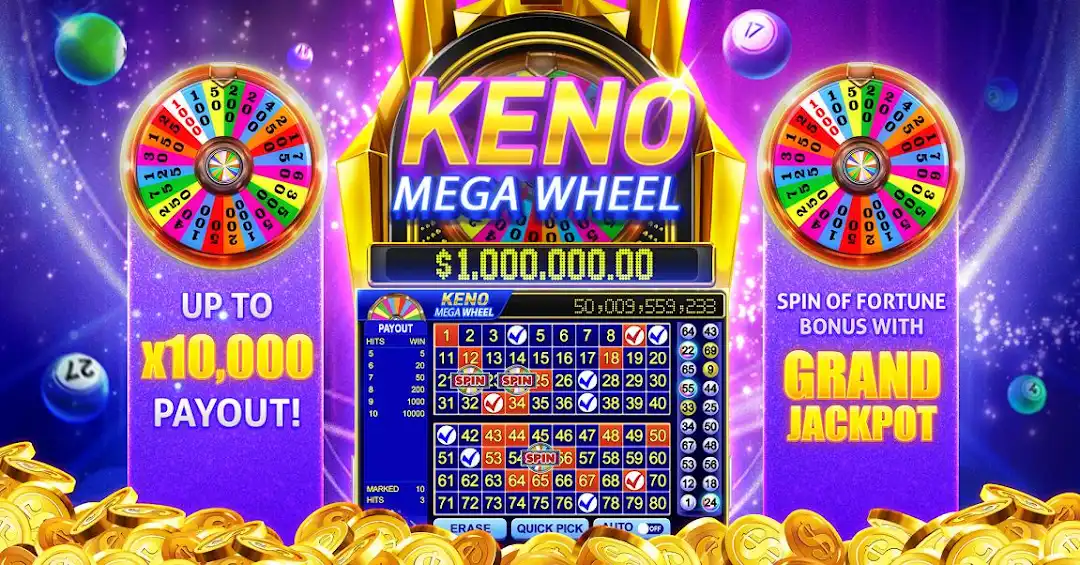 6k bet 4play bet cassino Android